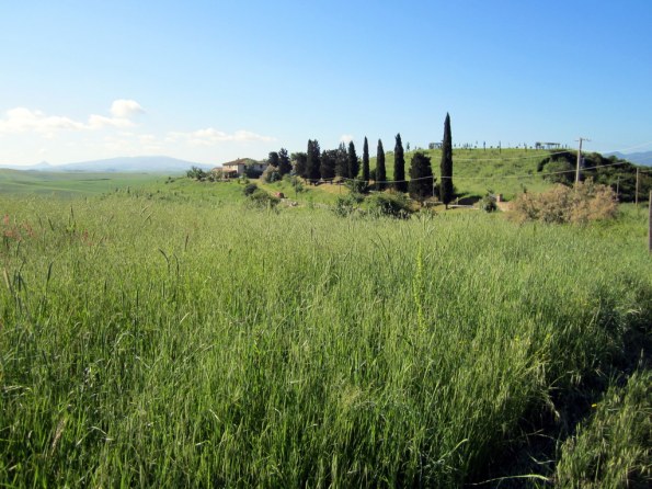 Toscana Fabrica Agriturismo